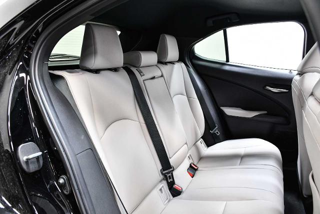 2024 Lexus UX 250h Vehicle Photo in DALLAS, TX 75235
