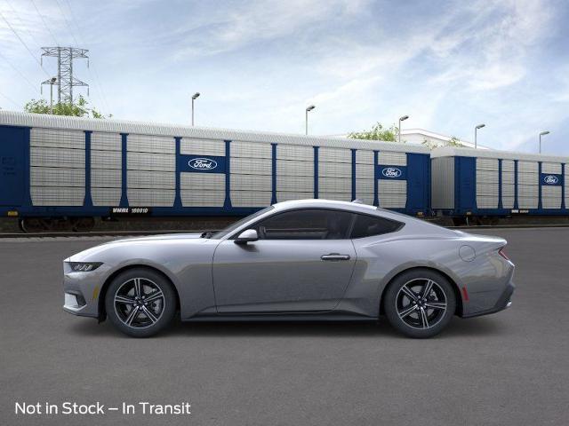 2025 Ford Mustang Vehicle Photo in Weatherford, TX 76087