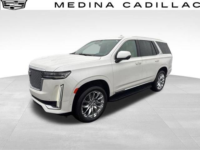 2021 Cadillac Escalade Vehicle Photo in MEDINA, OH 44256-9631