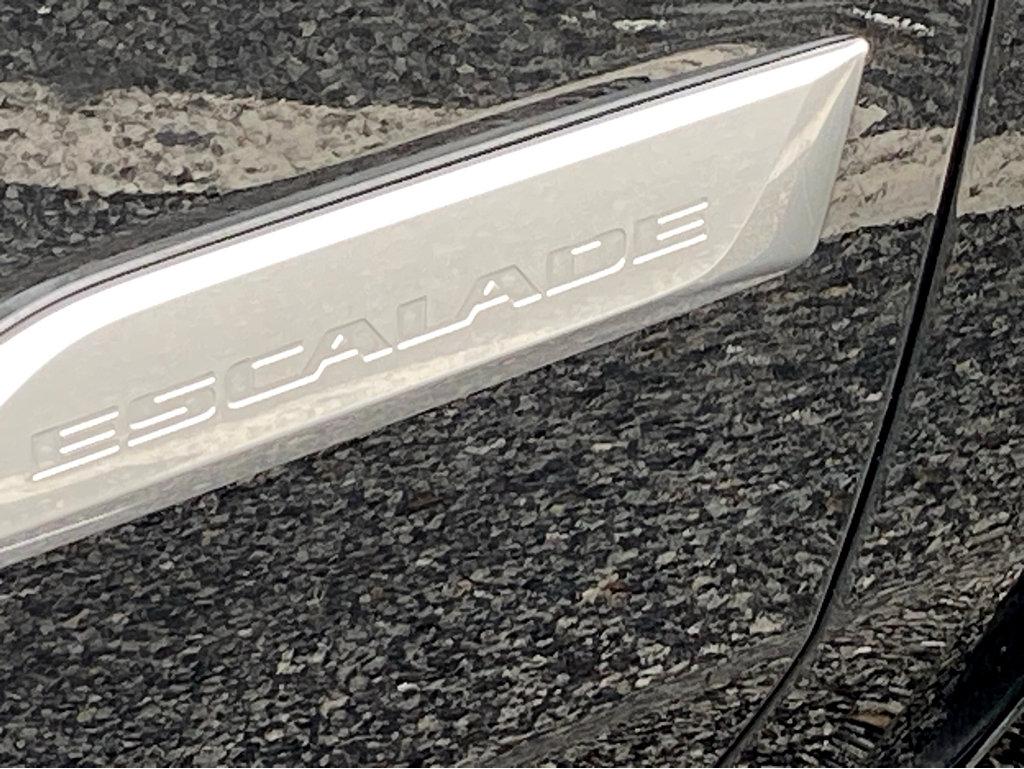 2019 Cadillac Escalade ESV Vehicle Photo in POOLER, GA 31322-3252
