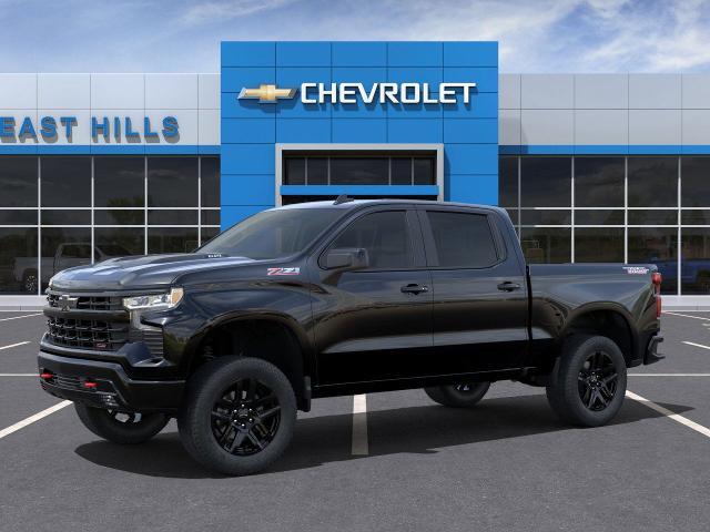 2025 Chevrolet Silverado 1500 Vehicle Photo in Roslyn, NY 11576
