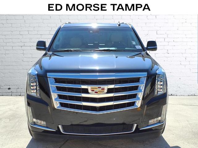 2019 Cadillac Escalade Vehicle Photo in Tampa, FL 33612