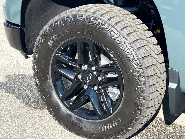 2025 Chevrolet Silverado 1500 Vehicle Photo in SAVANNAH, GA 31406-4513