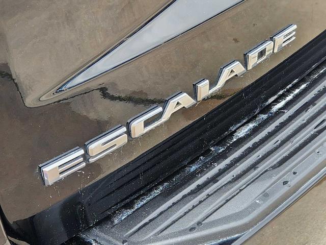 2021 Cadillac Escalade Vehicle Photo in DENTON, TX 76210-9321