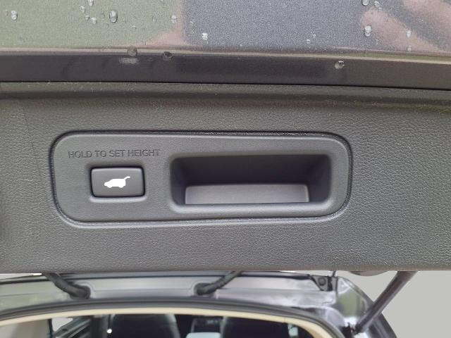 2025 Honda Pilot Vehicle Photo in Oshkosh, WI 54904