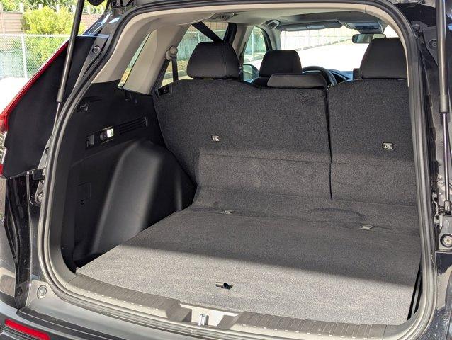 2025 Honda CR-V Vehicle Photo in San Antonio, TX 78230