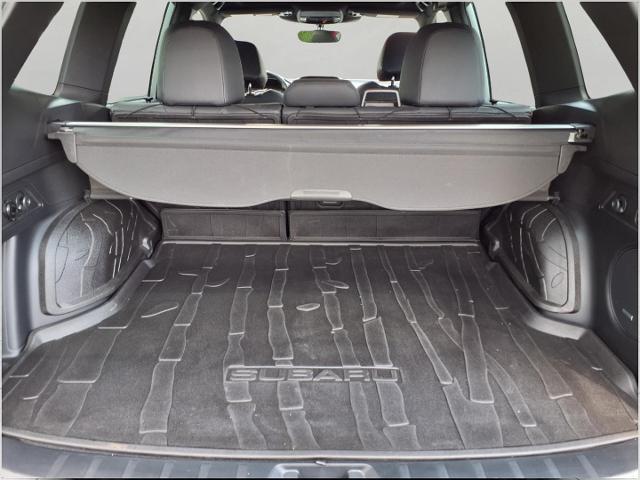 2023 Subaru Forester Vehicle Photo in Oshkosh, WI 54904