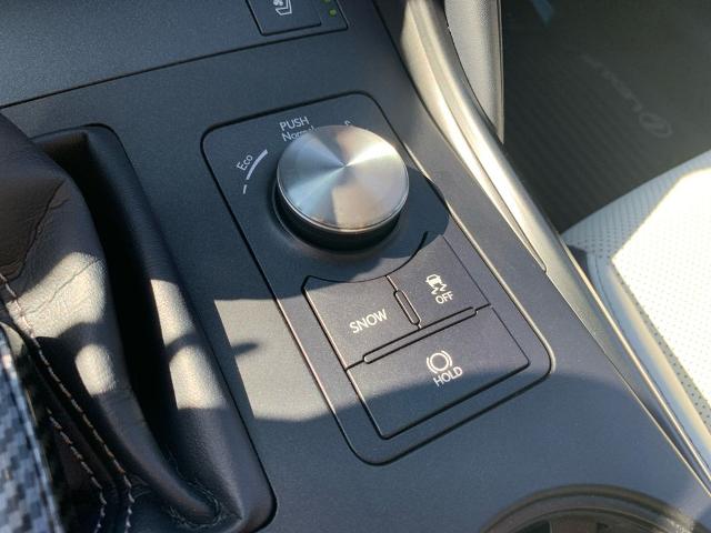 2021 Lexus IS 350 Vehicle Photo in Savannah, GA 31419