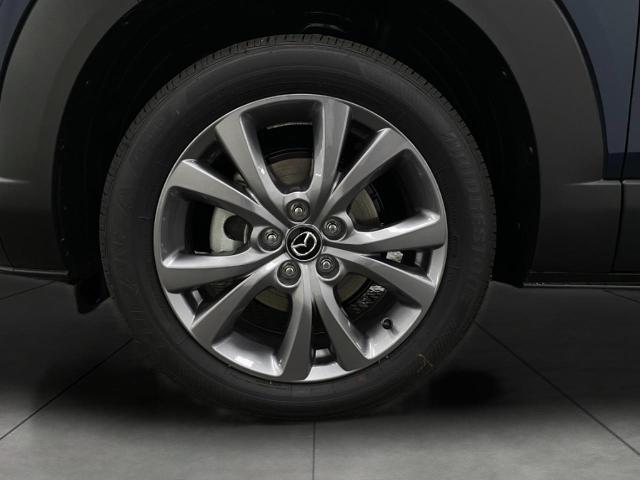 2025 Mazda CX-30 Vehicle Photo in Appleton, WI 54913