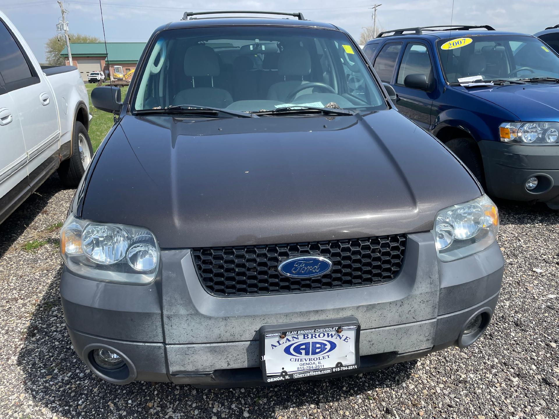 Used 2006 Ford Escape XLT with VIN 1FMCU93106KC03988 for sale in Genoa, IL