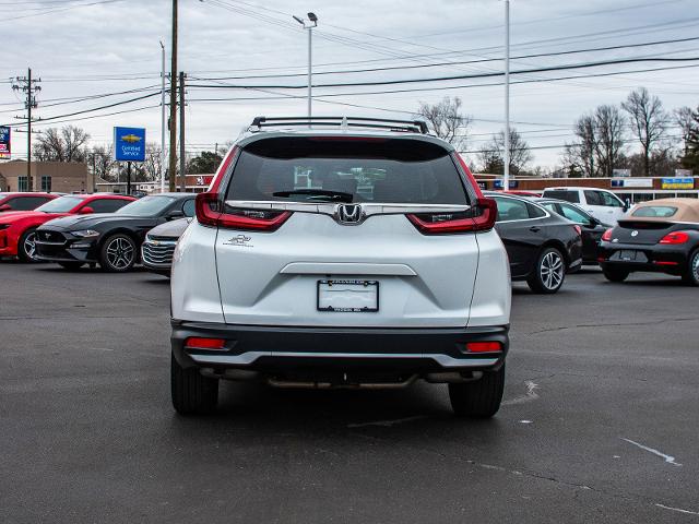 2022 Honda CR-V Vehicle Photo in MADISON, IN 47250-1611