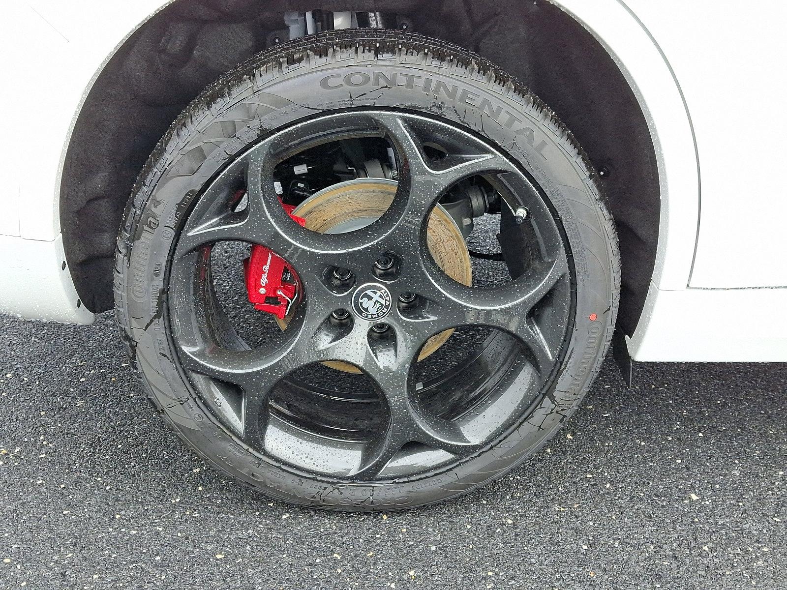 2025 Alfa Romeo Stelvio Vehicle Photo in Mechanicsburg, PA 17050