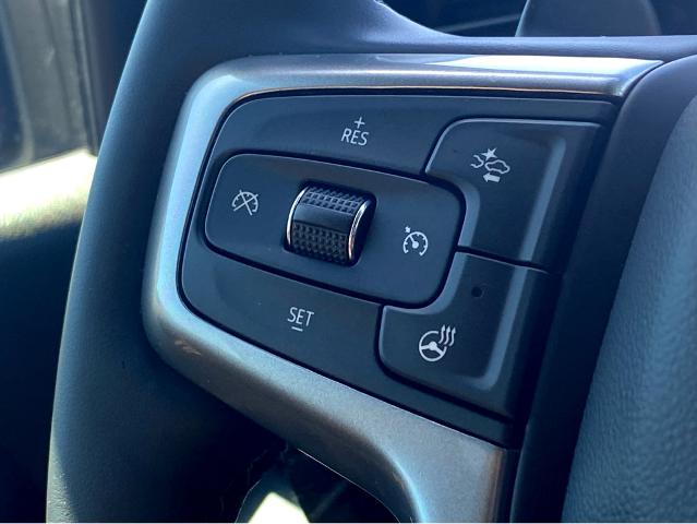 2025 Chevrolet Silverado 1500 Vehicle Photo in BEAUFORT, SC 29906-4218