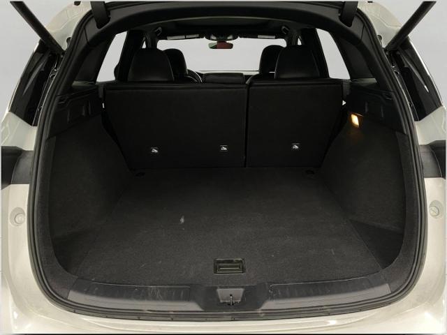 2025 INFINITI QX50 Vehicle Photo in Appleton, WI 54913