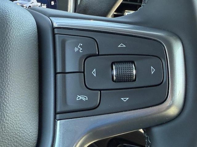 2025 Chevrolet Silverado 1500 Vehicle Photo in COLUMBIA, MO 65203-3903