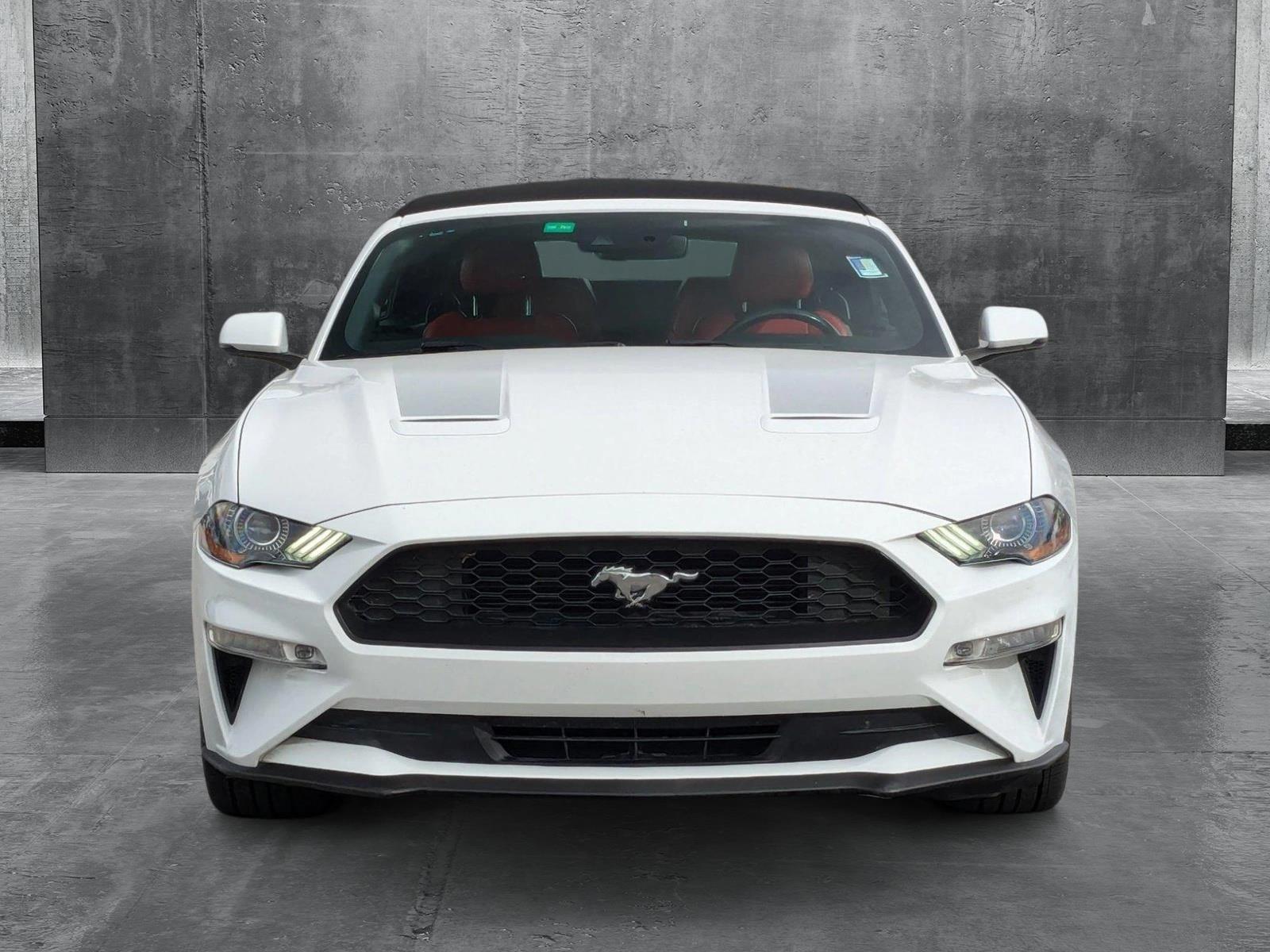 2020 Ford Mustang Vehicle Photo in St. Petersburg, FL 33713