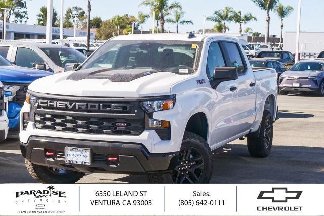 2025 Chevrolet Silverado 1500 Vehicle Photo in VENTURA, CA 93003-8585