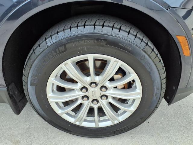 2019 Cadillac XT5 Vehicle Photo in TAMPA, FL 33612-3404