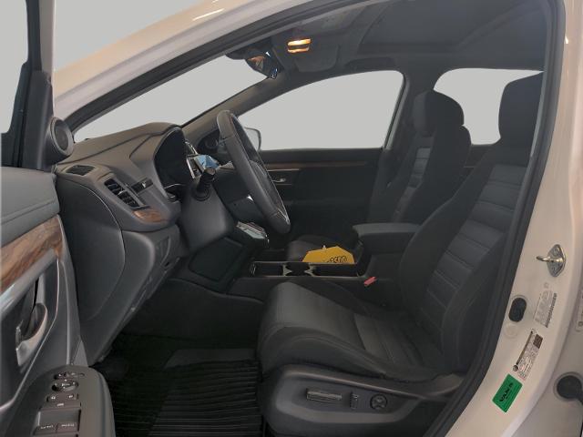 2020 Honda CR-V Vehicle Photo in Green Bay, WI 54304