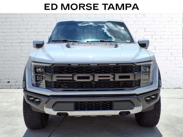 2023 Ford F-150 Vehicle Photo in Tampa, FL 33612