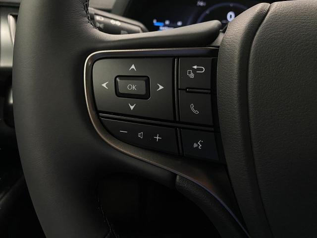 2025 Lexus UX 300h Vehicle Photo in Appleton, WI 54913