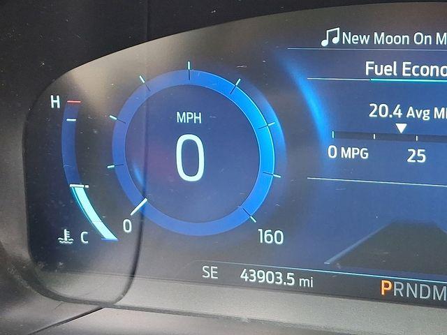2020 Ford Escape Vehicle Photo in DANBURY, CT 06810-5034