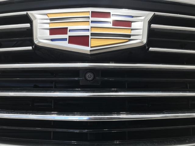 2021 Cadillac Escalade Vehicle Photo in GREEN BAY, WI 54303-3330