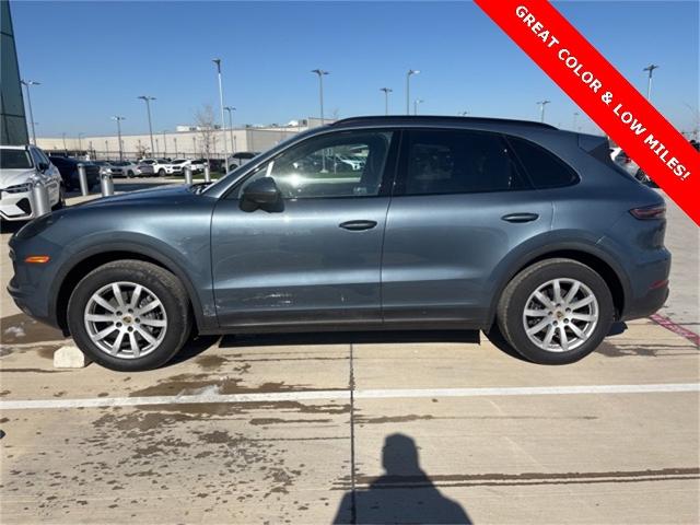 2019 Porsche Cayenne Vehicle Photo in San Antonio, TX 78230