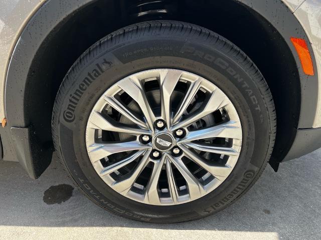 2025 Cadillac XT4 Vehicle Photo in Tampa, FL 33612