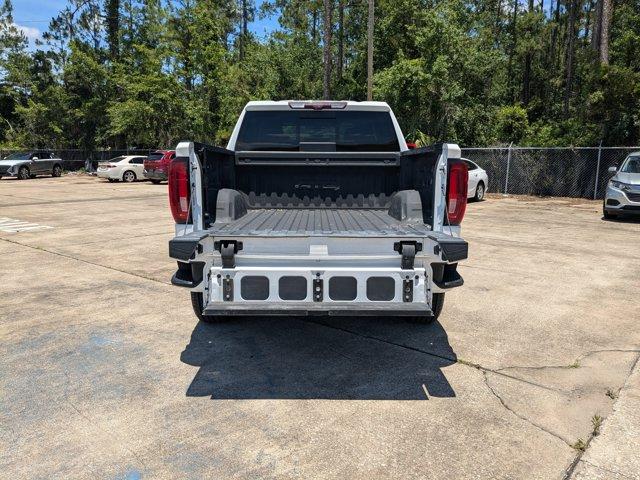 2020 GMC Sierra 1500 Vehicle Photo in BRUNSWICK, GA 31525-1881