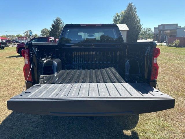 2025 Chevrolet Silverado 1500 Vehicle Photo in SAUK CITY, WI 53583-1301