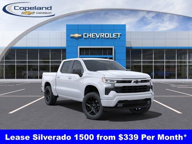 2025 Chevrolet Silverado 1500 Vehicle Photo in BROCKTON, MA 02301-7113