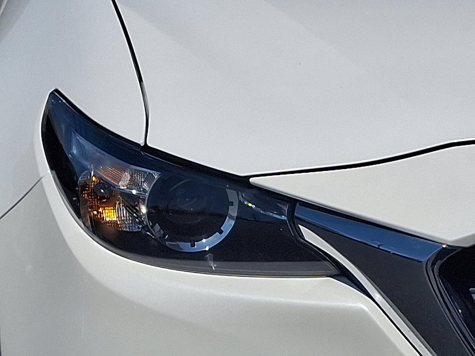2022 Mazda CX-9 Vehicle Photo in Harrisburg, PA 17111