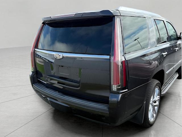 2019 Cadillac Escalade Vehicle Photo in Neenah, WI 54956