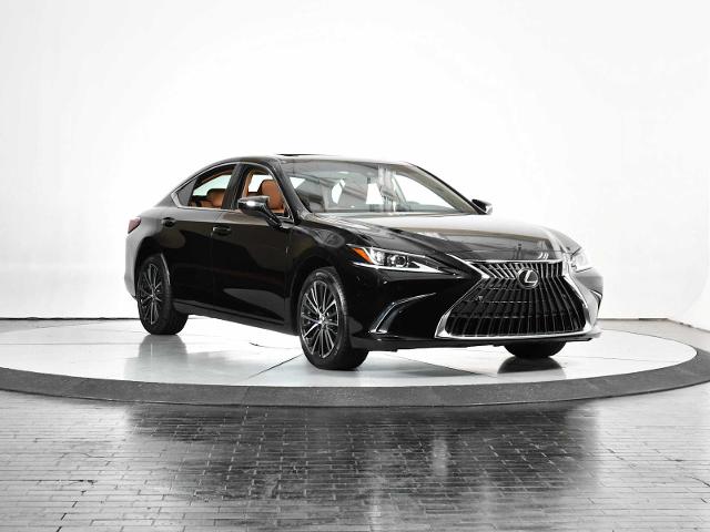 2024 Lexus ES 250 Vehicle Photo in DALLAS, TX 75235