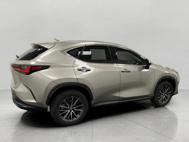 2024 Lexus NX 250 Vehicle Photo in Appleton, WI 54913