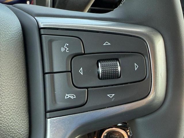 2025 Chevrolet Silverado 1500 Vehicle Photo in COLUMBIA, MO 65203-3903