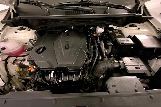 2024 Kia Sportage Vehicle Photo in Lees Summit, MO 64086