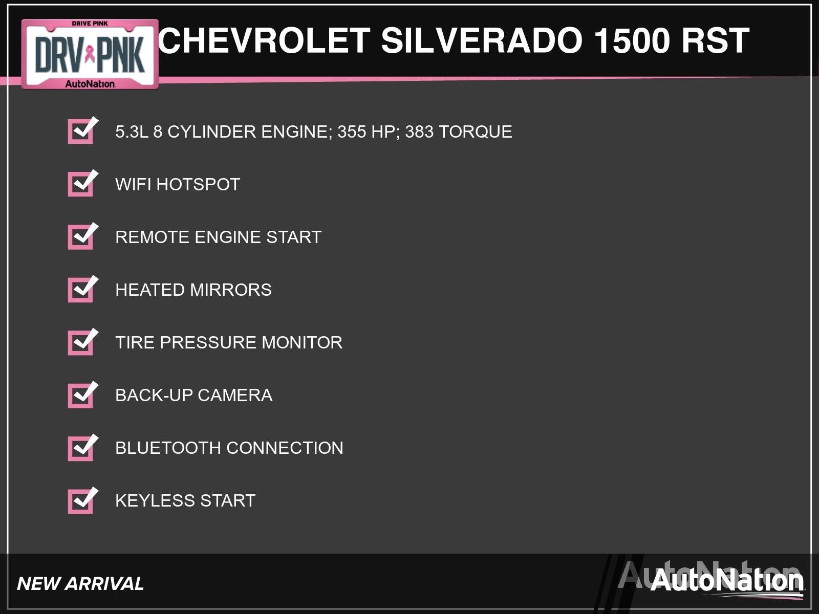 2019 Chevrolet Silverado 1500 Vehicle Photo in Clearwater, FL 33764