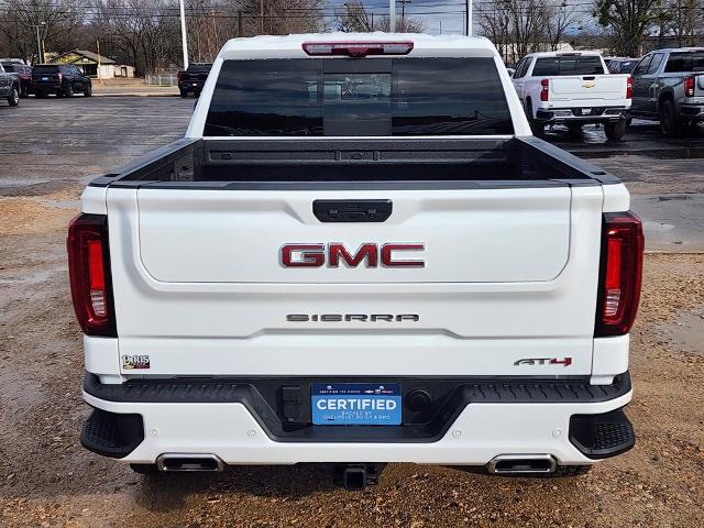 2024 GMC Sierra 1500 Vehicle Photo in PARIS, TX 75460-2116