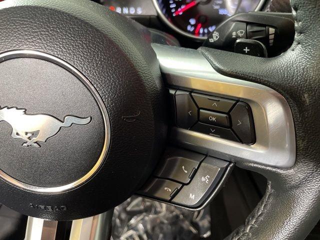2019 Ford Mustang Vehicle Photo in PHOENIX, AZ 85014-3381