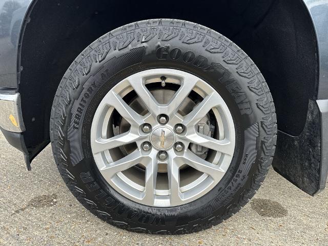 2019 Chevrolet Silverado 1500 Vehicle Photo in BATON ROUGE, LA 70806-4466