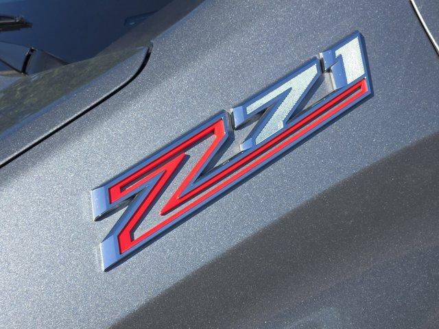 2024 Chevrolet Silverado 1500 Vehicle Photo in Decatur, TX 76234