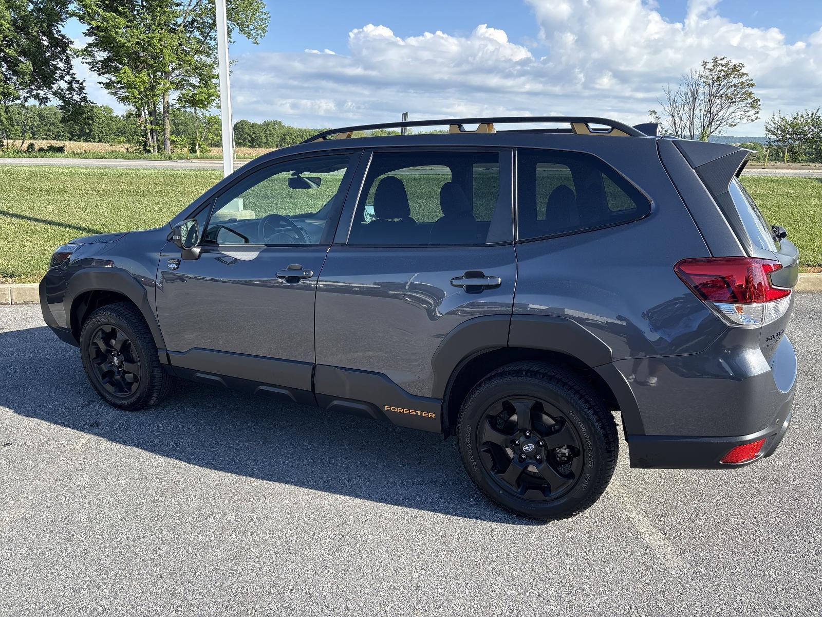 2023 Subaru Forester Vehicle Photo in Mechanicsburg, PA 17050