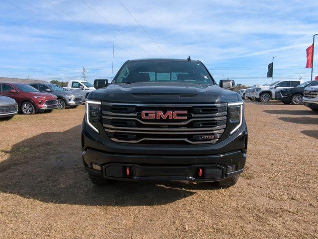 2025 GMC Sierra 1500 Vehicle Photo in ALBERTVILLE, AL 35950-0246