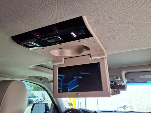 2019 Cadillac Escalade Vehicle Photo in Tampa, FL 33612