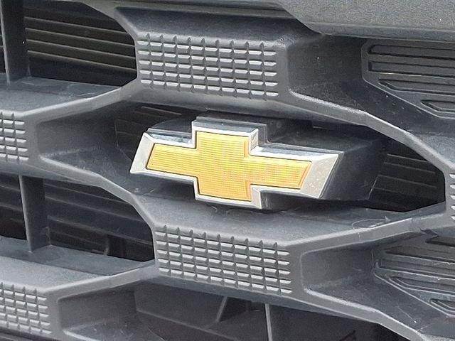 2024 Chevrolet Silverado 1500 Vehicle Photo in DANBURY, CT 06810-5034