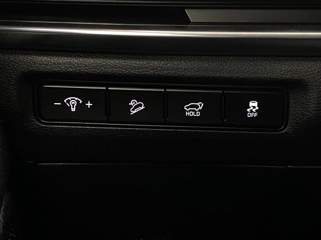 2024 Kia Telluride Vehicle Photo in Appleton, WI 54914