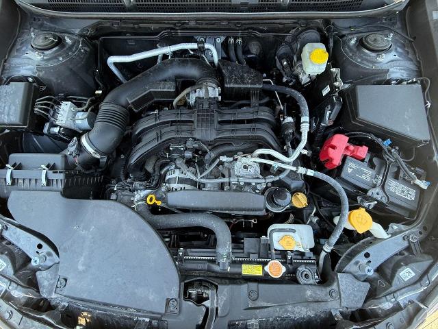 2024 Subaru Outback Vehicle Photo in Appleton, WI 54914