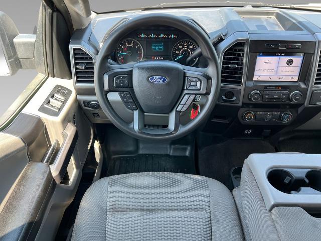 2019 Ford F-150 Vehicle Photo in Brunswick, GA 31525